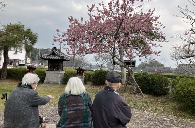 春の散策