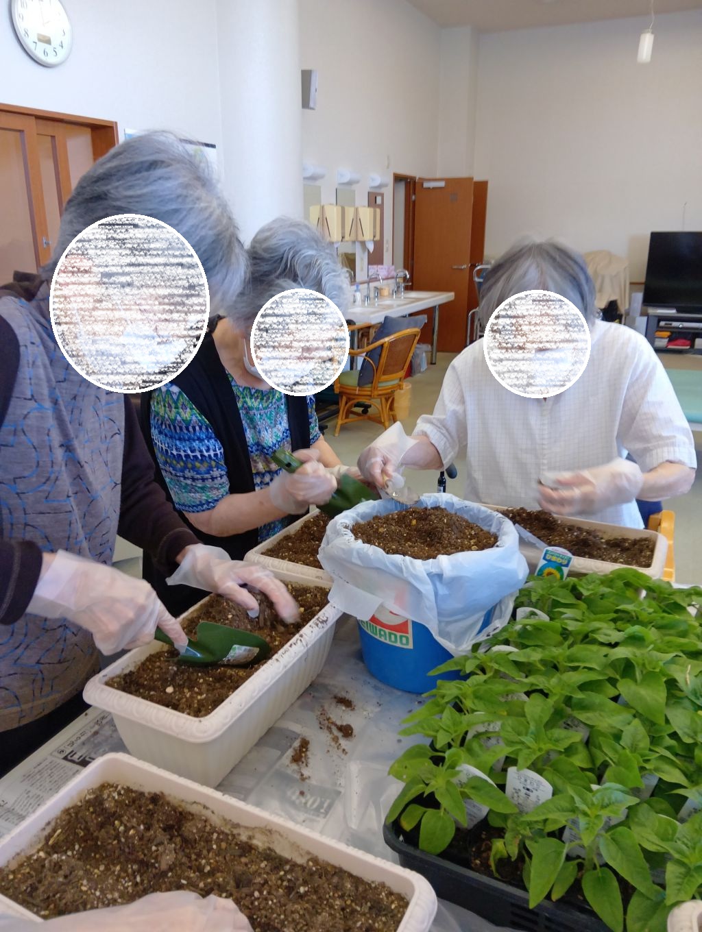 園芸倶楽部