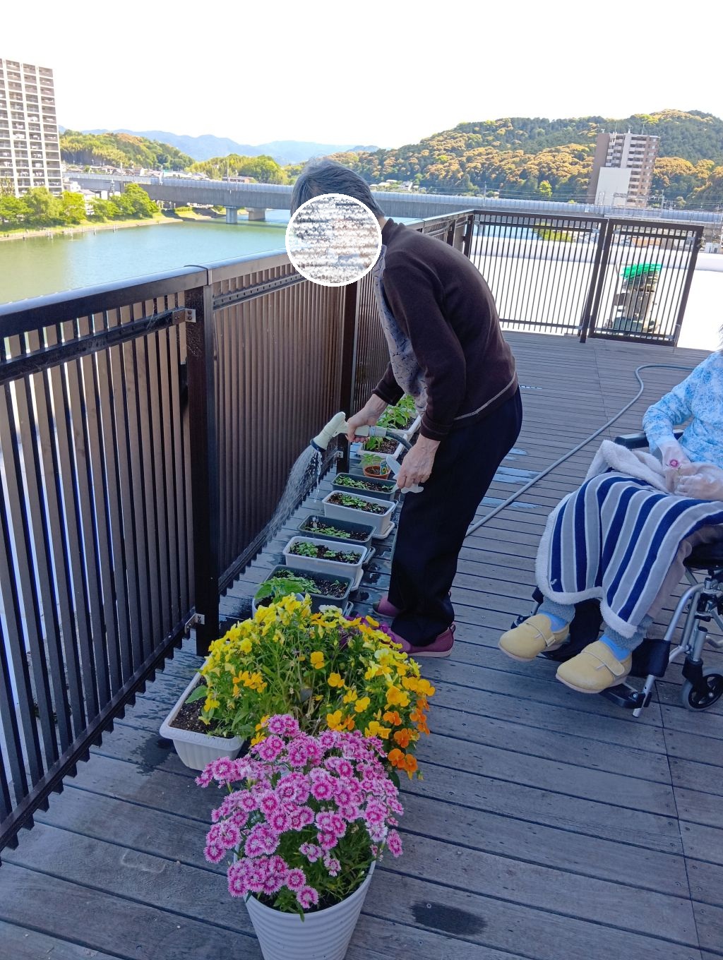 園芸倶楽部